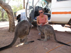 visitors while camping in the Flinders Range, Australia