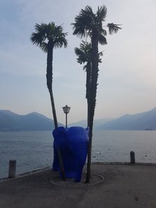 Ascona - there was a blue plastic elefant ;-)