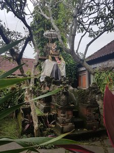 a small Saraswati Temple we stumbled upon while walking through a private backyard in Ubud