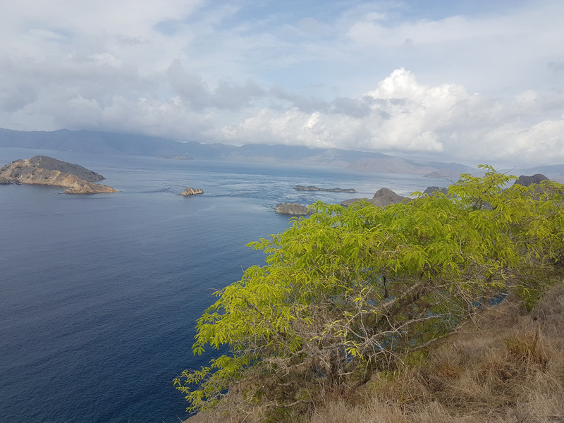 Padar Island