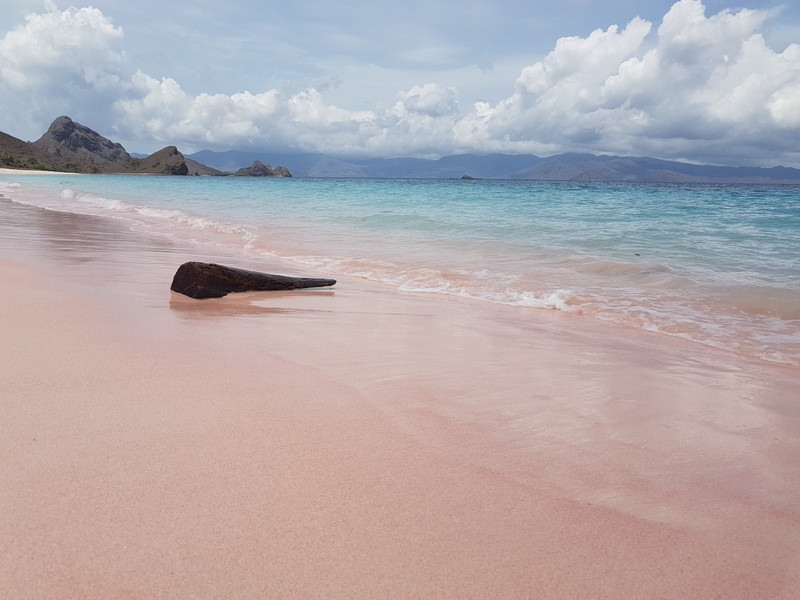 absolutely pink beach
