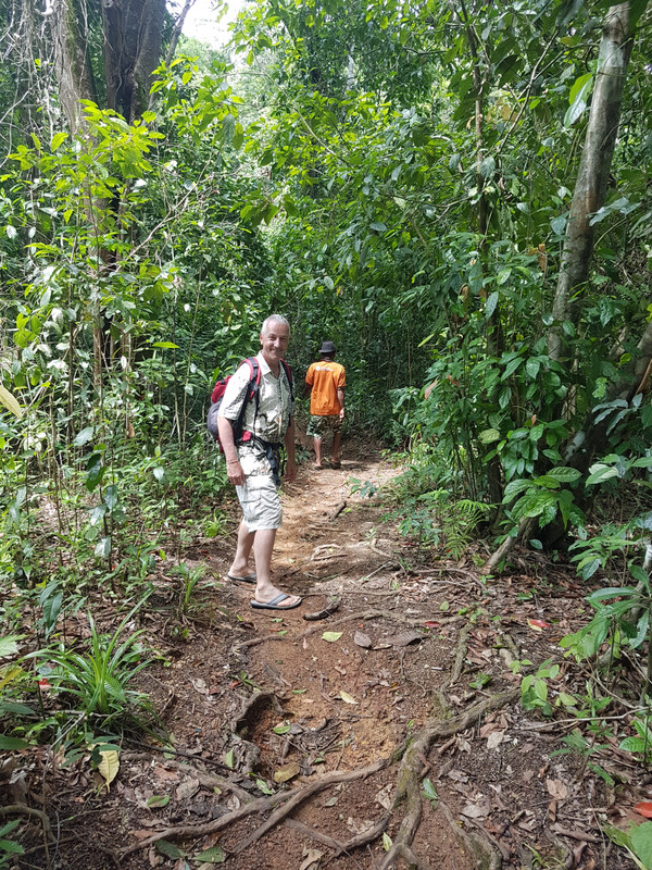 jungle trekking with a guide