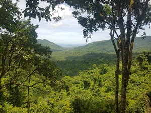 view from the Monkey Forest road down to Bangsal