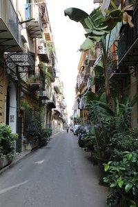 streets in Palermo