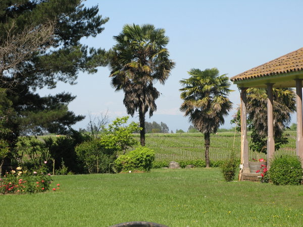 Das Weingut von Casa Donoso