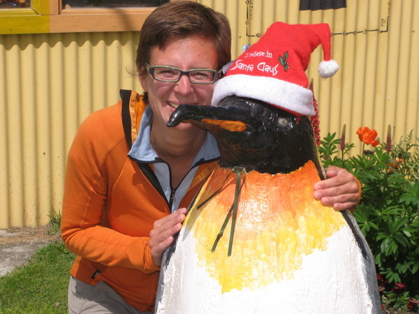 Weihnachten mit Pinguinen