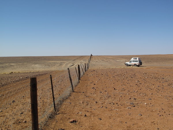 The dog fence