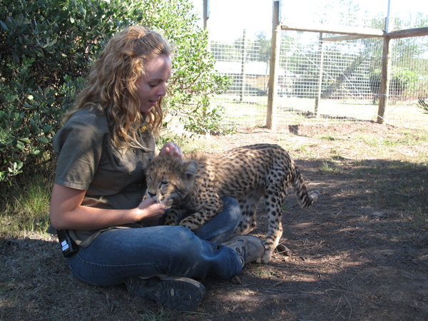 im Cheetah Park