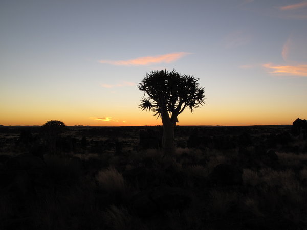Blick aus unserem Zelt in der ersten Nacht in der Wildnis Namibias