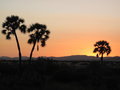 noch mehr Sonnenuntergang in Palmwag