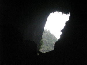der Eingang zum Deer Cave
