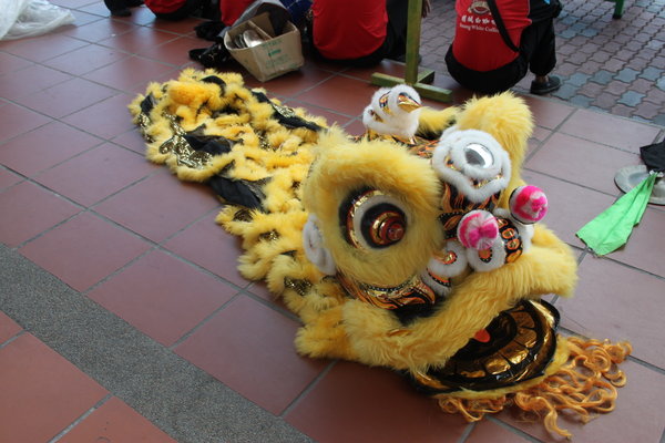 costume for the lion dance