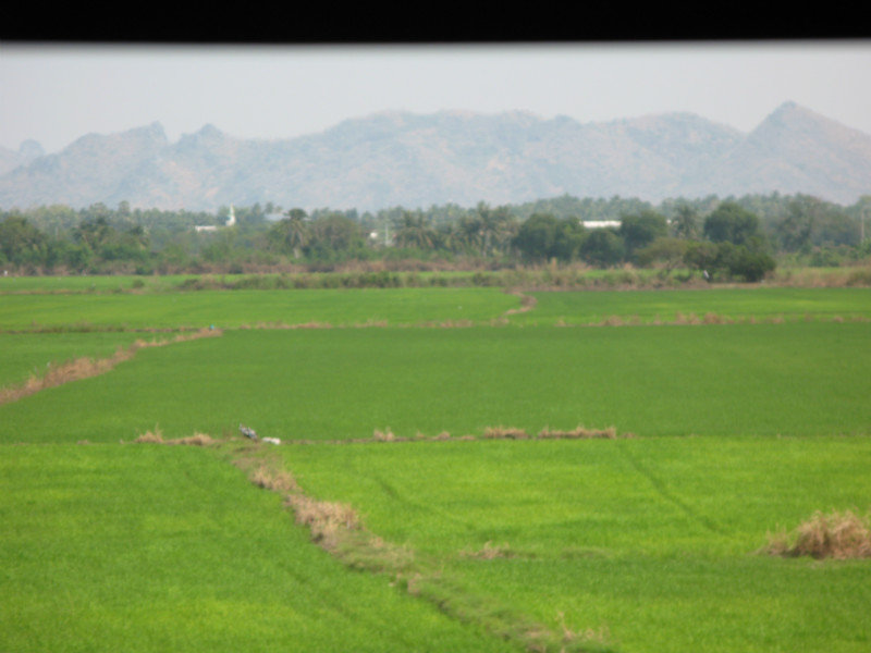view from the train somewhere between Ayutthaya and Nakhon Sawan