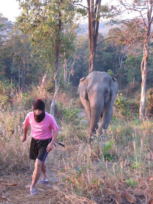I loved the outfit of my mahout in the morning