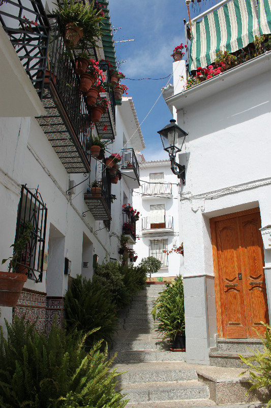 Algarrobo street