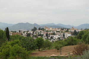 view from the Generalife