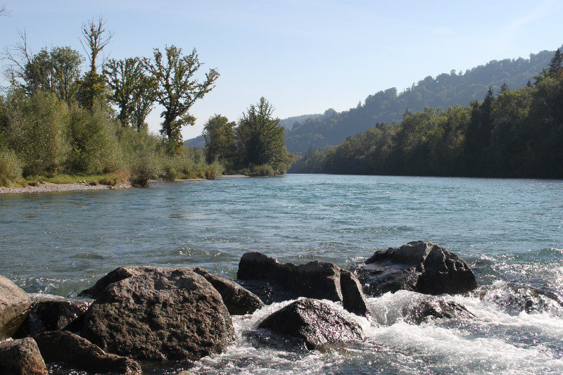 the river Aare