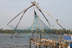 the famous chinese fishing nets of Kochi