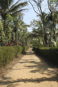 a walk to the village of Kartikulam