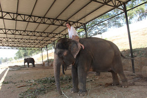 Nina's first experience on an elefant