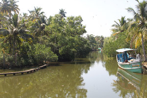 the backwaters