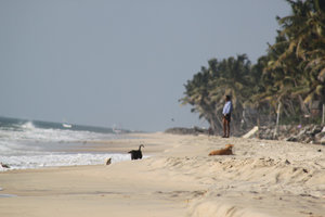 beach life