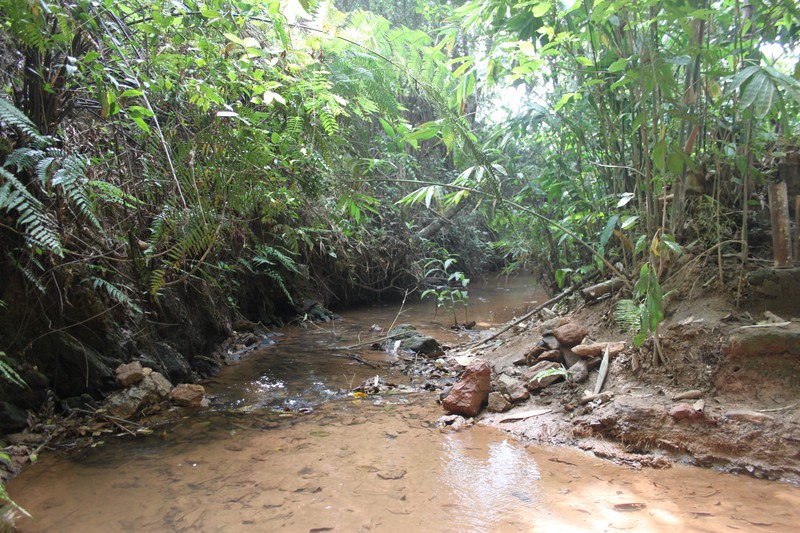 river that runs through the rainforest retreat