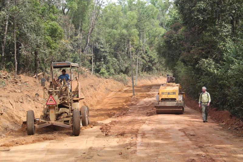 destroying the rainforest for a tarred road.....