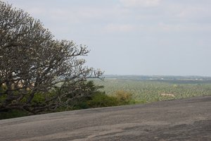 the landscape around Shravanabelagola