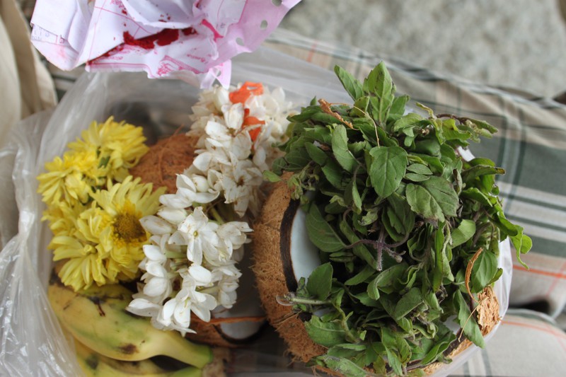 this is all we got from the temple after the pooja: blessed flowers, blessed tulsi leaves, blessed sweets and a blessed coconut