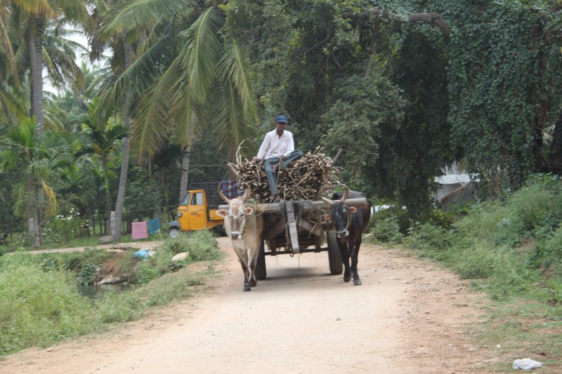 village workers