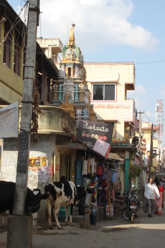 street in Mysore