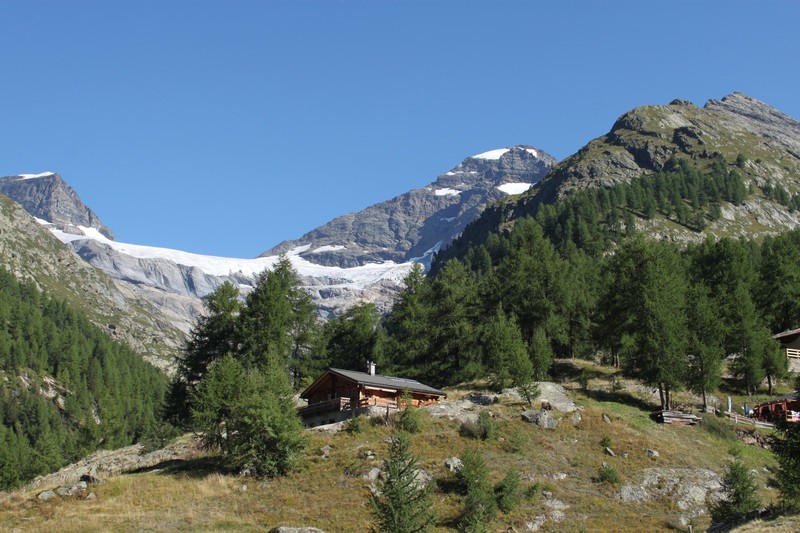 Fafleralp and view up to the Petersgrat (glacier)