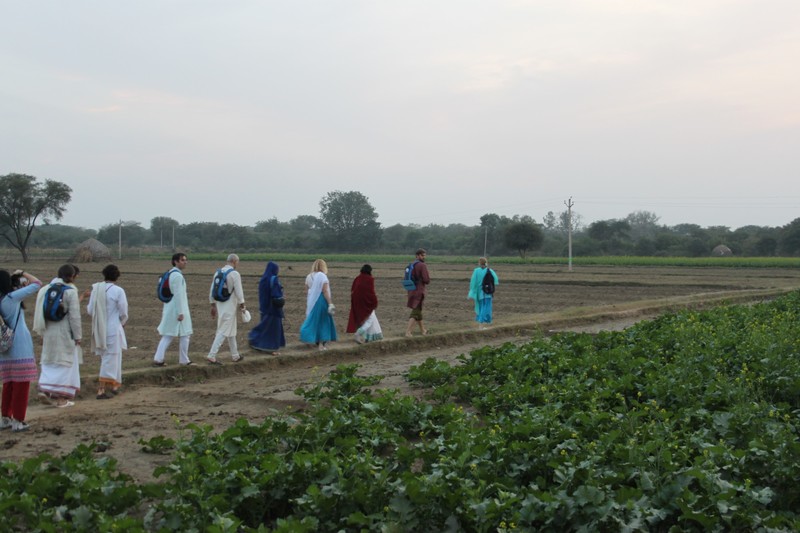walking on the fields in Pandhipuri