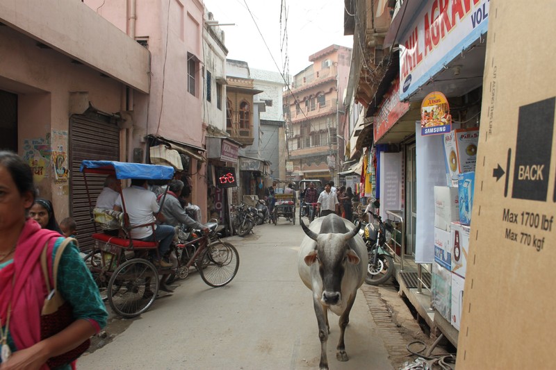 Loi Bazar in Vrindavan