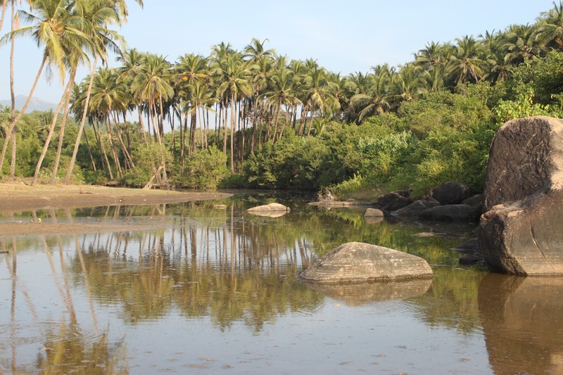 lagoon at the south end of Agonda Beah