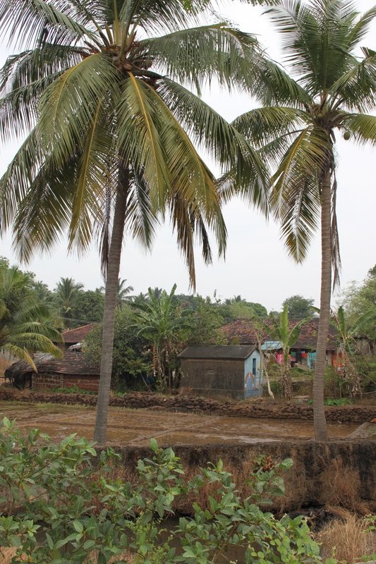 village on the way to Cabo de Rama