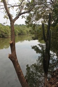 canals in Agonda
