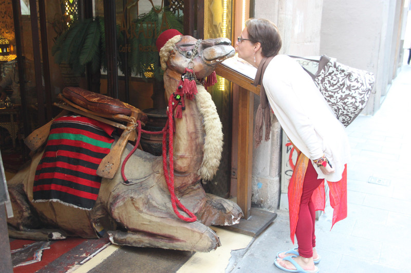 loved the camel ;-)