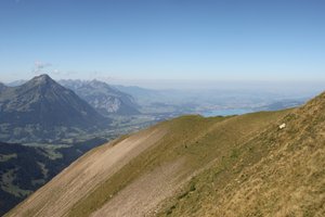 view from the Morgenberghorn to Niesen and Thun