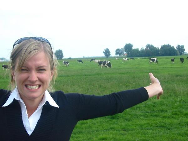 ME in FRIESLAND with FRIESIAN cows.  