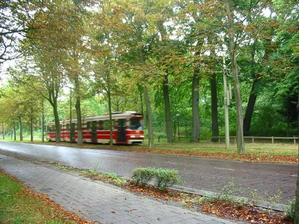 Trams in the Hague