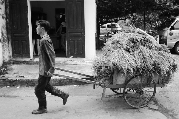 Local man and cart
