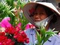 Flowers in Ha Noi