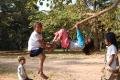 kids swinging on a tree near Angkor Wat