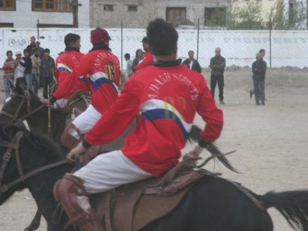 Anyone for polo?  Ladakh festival