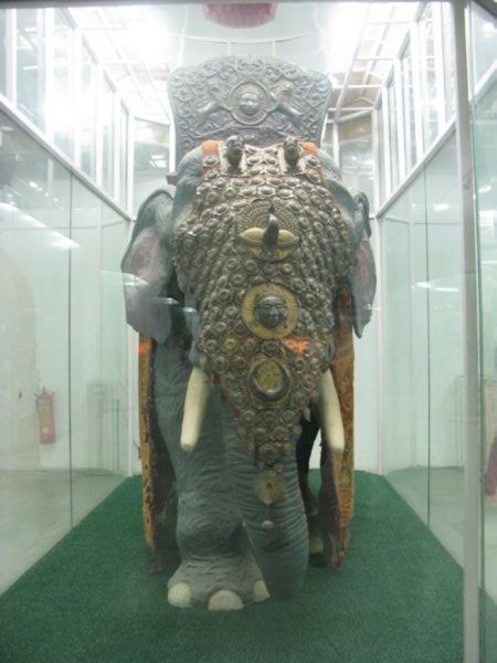 elephant in armour...don't mess