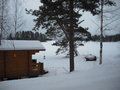Finnish Countryside