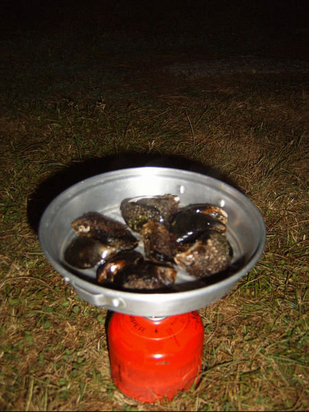 Cooking mussels