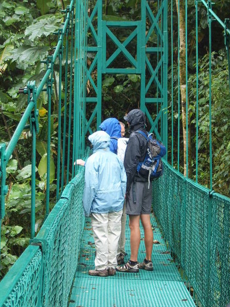 Hanging bridges in the rain